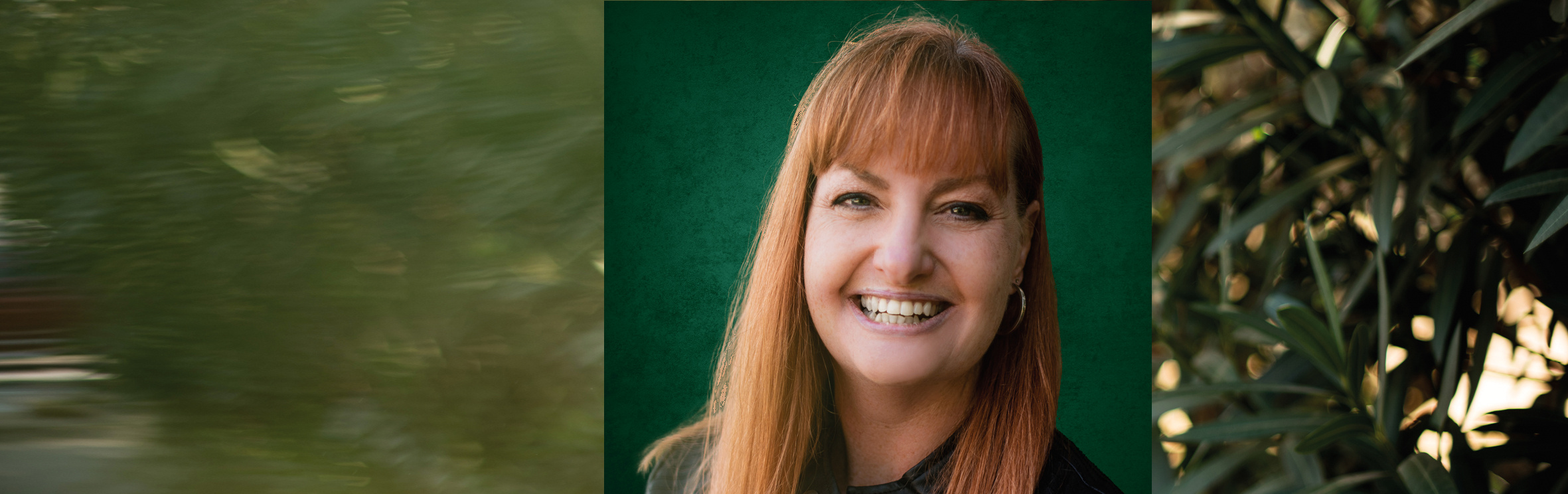 Your local property sales and rentals specialist in Little Falls, Strubensvalley, Weltevredenpark, Wilgeheuwel