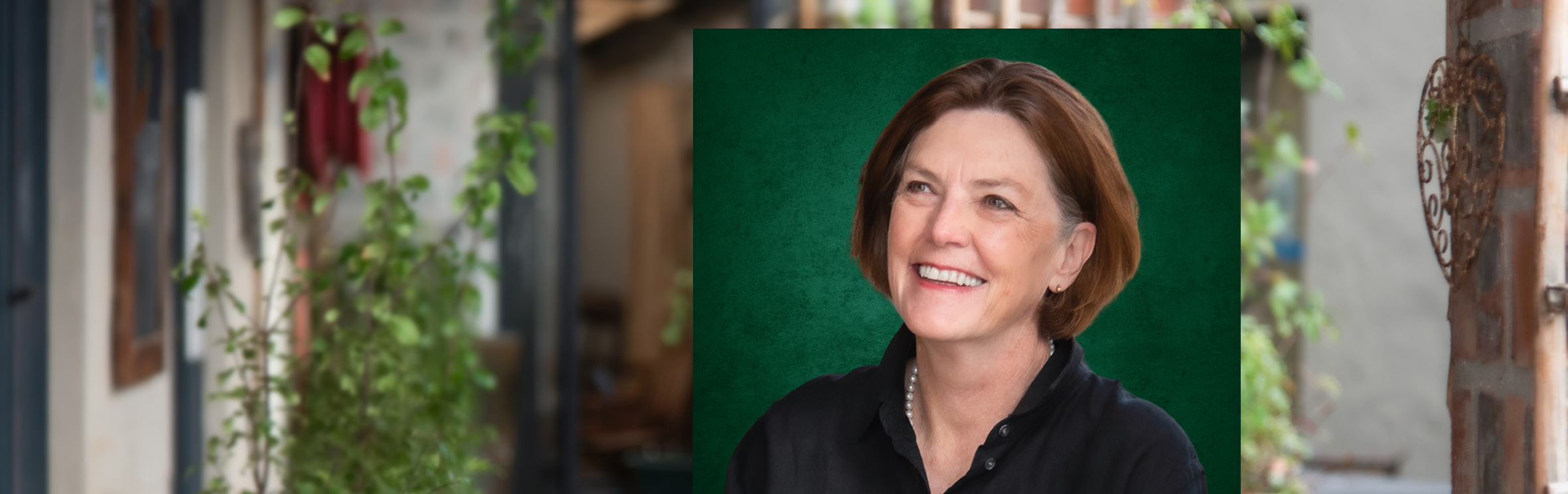 Your local property sales and rentals specialist in Pringle Bay, Rooi Els