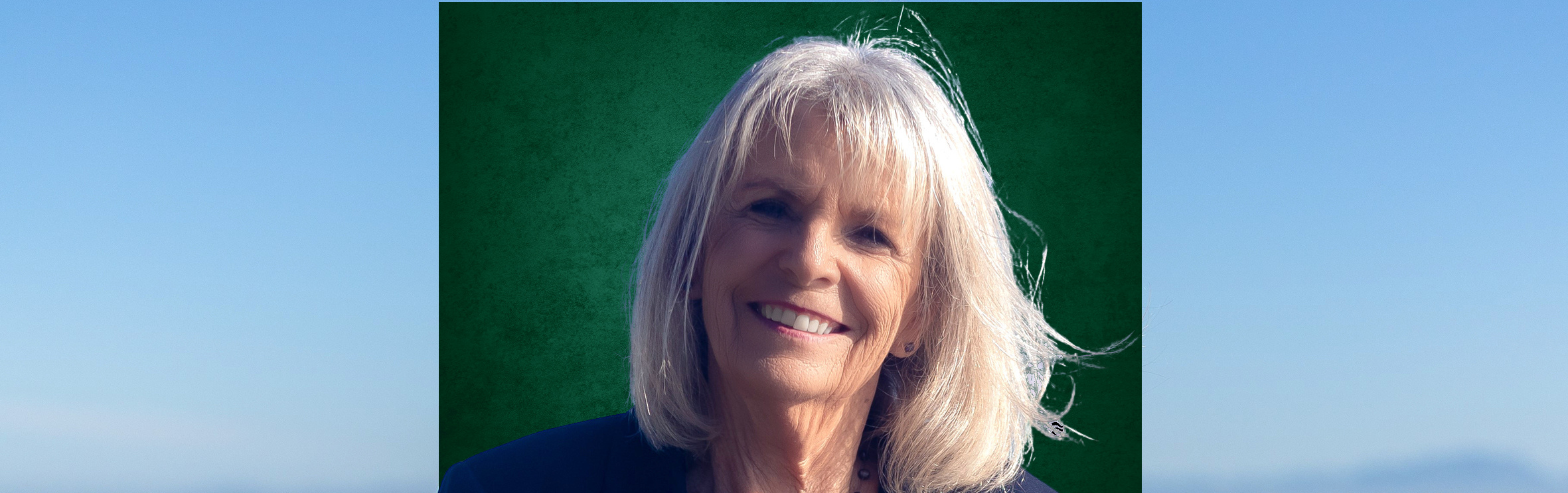 Your local property sales and rentals specialist in Gordons Bay, Somerset West, Strand