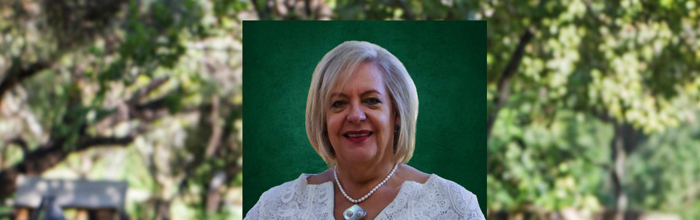 Your local property sales and rentals specialist in Birdwood, Caribbean Beach, Flora Park AH, Ifafi, Kosmos, Kosmos Ridge, KShane, Meerhof, Melodie, Rietfontein, Schoemansville, Schurveberg, Welgegund, Xanadu