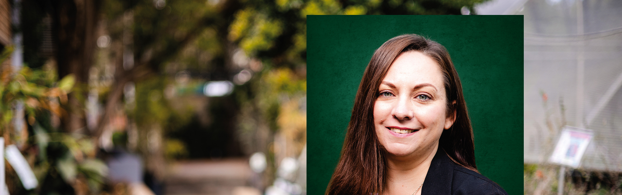 Your local property sales and rentals specialist