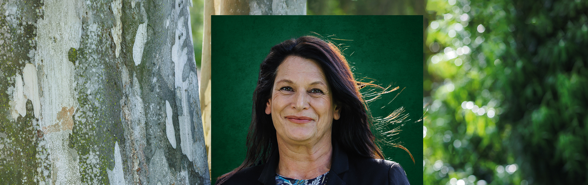 Your local property sales and rentals specialist in Assagay, Everton, Gillitts, Hillcrest, Kloof, Waterfall, Winston Park