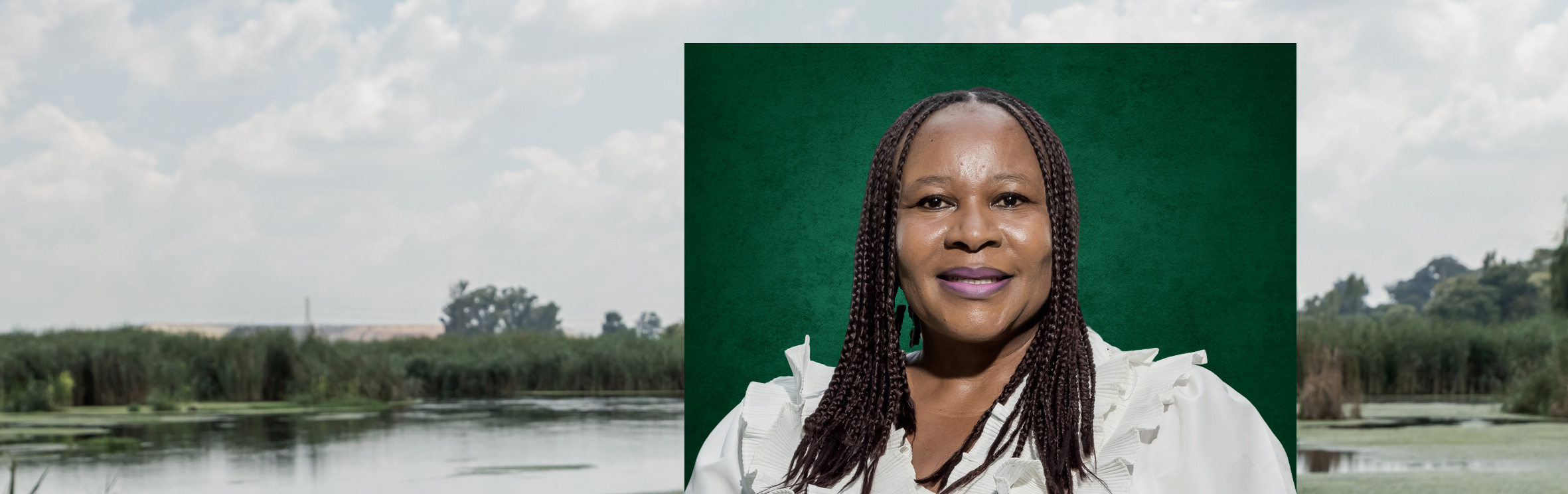 Your local property sales and rentals specialist