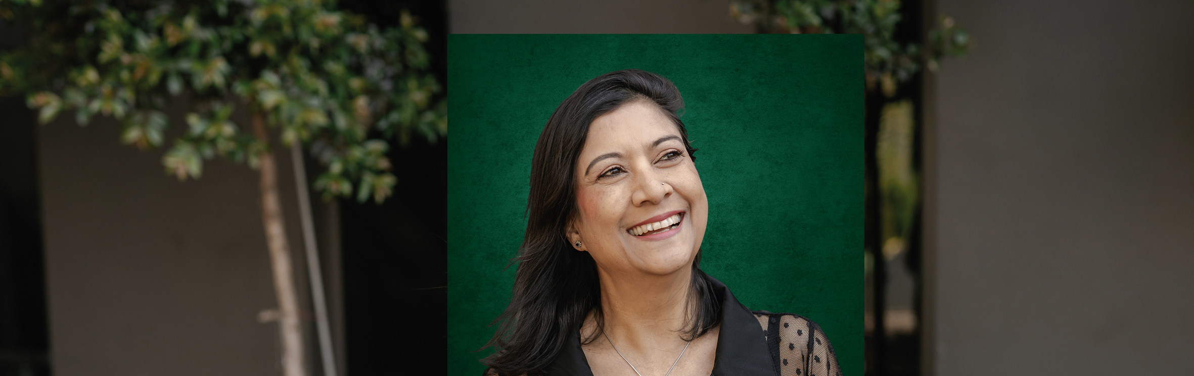 Your local property sales and rentals specialist in Midstream Estate