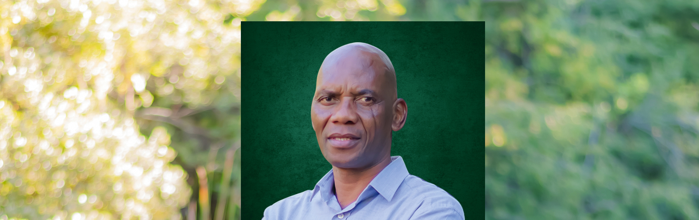 Your local property sales and rentals specialist