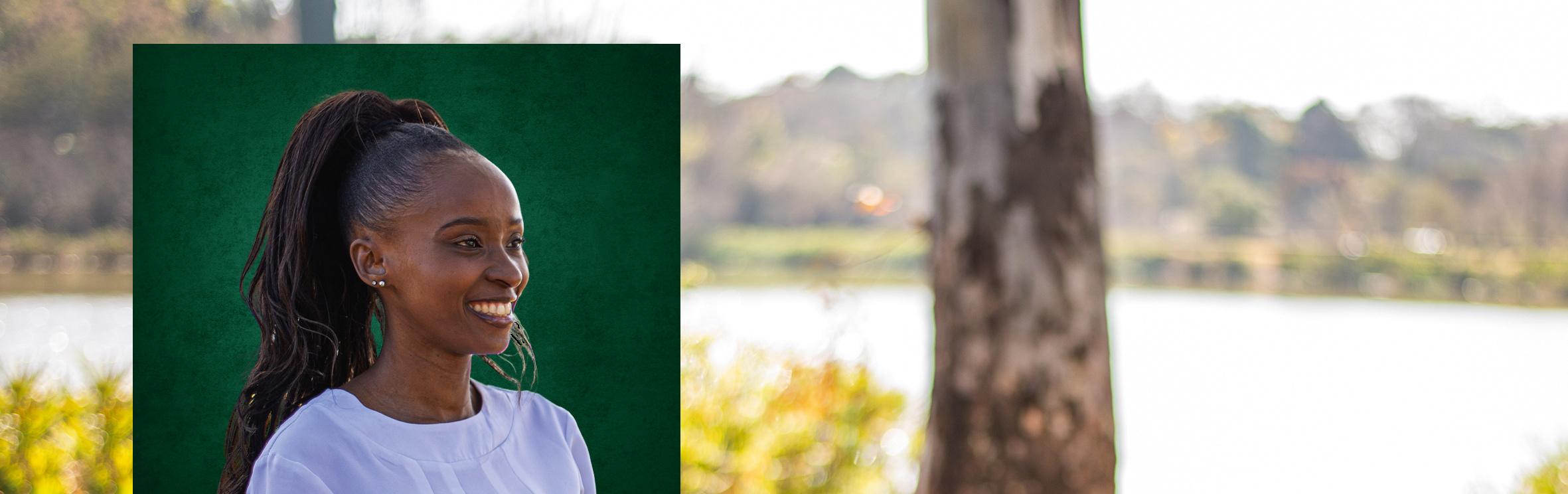 Your local property sales and rentals specialist in Mooikloof Ridge, Moreleta Park