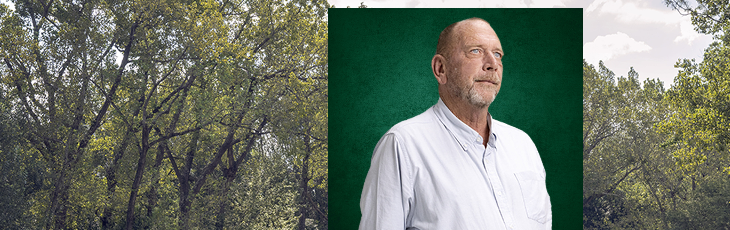 Your local property sales and rentals specialist in Bridle Park, Carlswald, Carlswald Estate, Carlswald North Estate, Doornrandje, Glen Austin, Glenferness, Knopjeslaagte, Laezonia, Mnandi, Montecello Country Estate, Northview Country Estate, President Park, Randjesfontein, Summerset Estate, Sun Valley