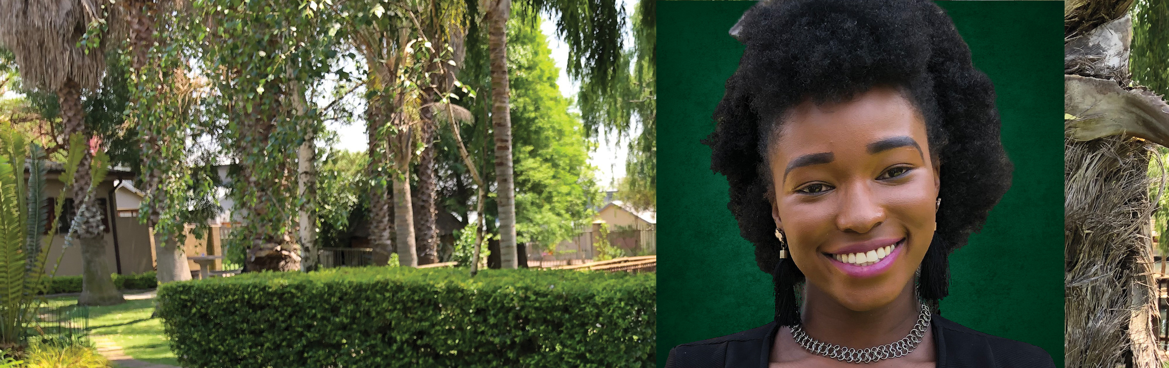 Your local property sales and rentals specialist