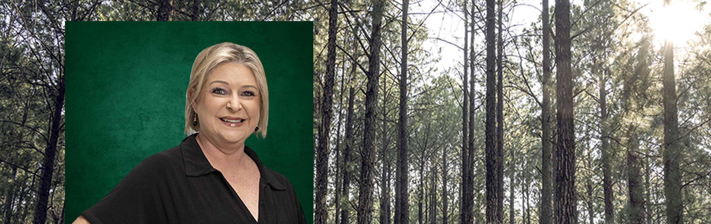 Your local property sales and rentals specialist in Beverley, Craigavon, Eagle Trace Estate, Fernbrook Estate, Stone River Estate, Witkoppen