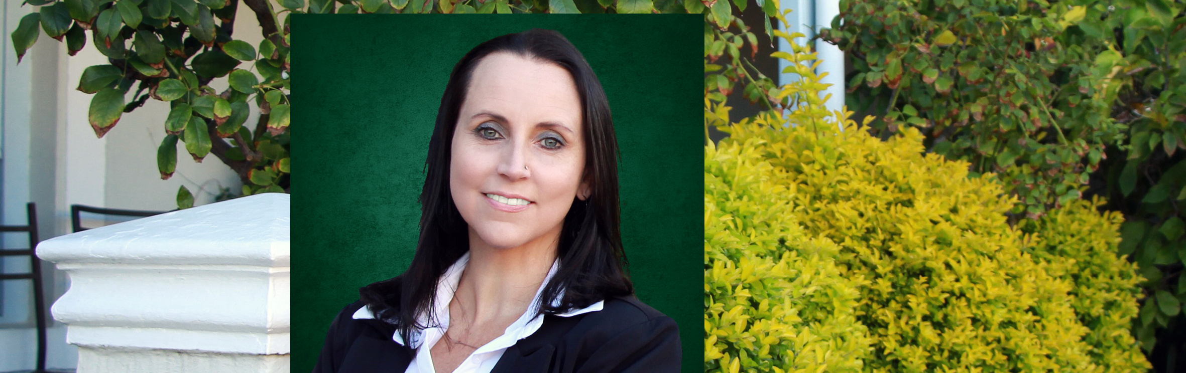 Your local property sales and rentals specialist in Franschhoek