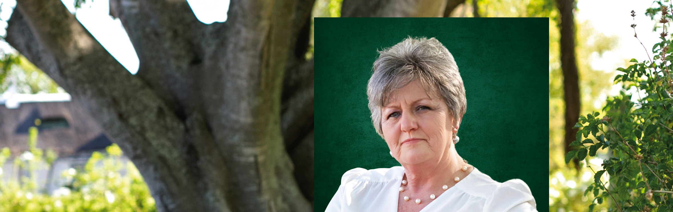 Your local property sales and rentals specialist