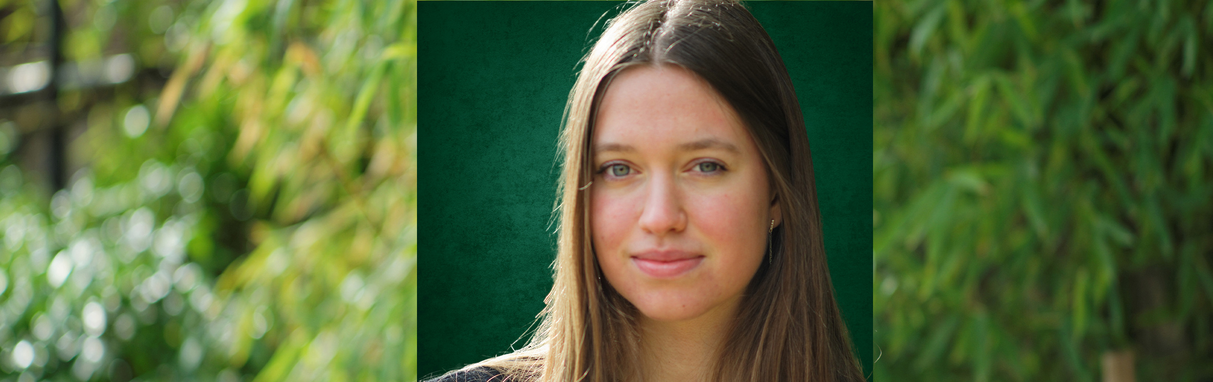 Your local property sales and rentals specialist