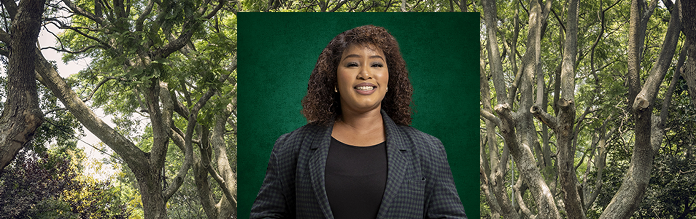 Your local property sales and rentals specialist in Jackal Creek Golf Estate, North Riding AH, Olive Crest Estate, Sonnedal