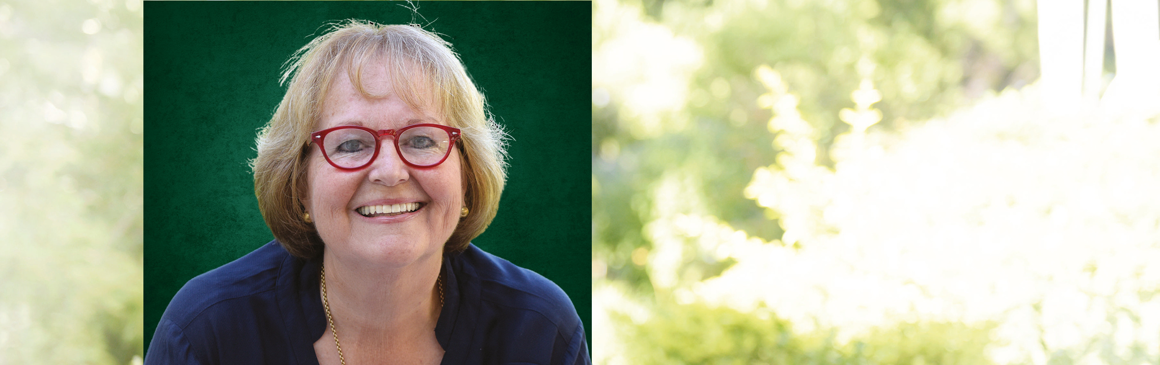 Your local property sales and rentals specialist in Gordons Bay, Somerset West, Strand