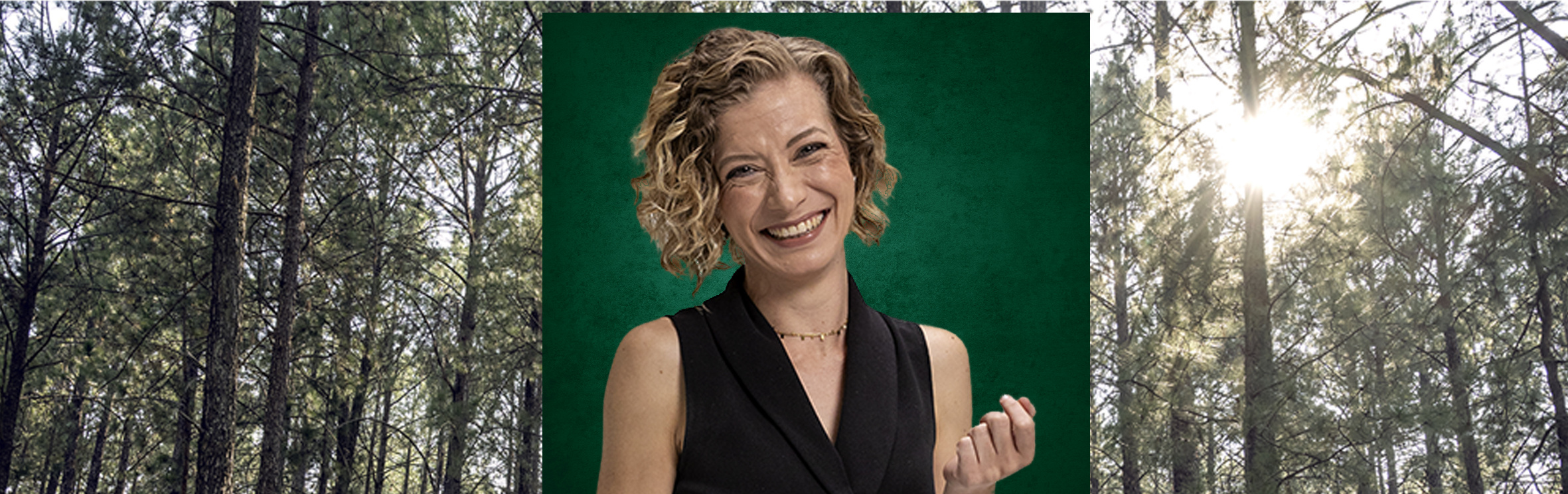 Your local property sales and rentals specialist in Northcliff