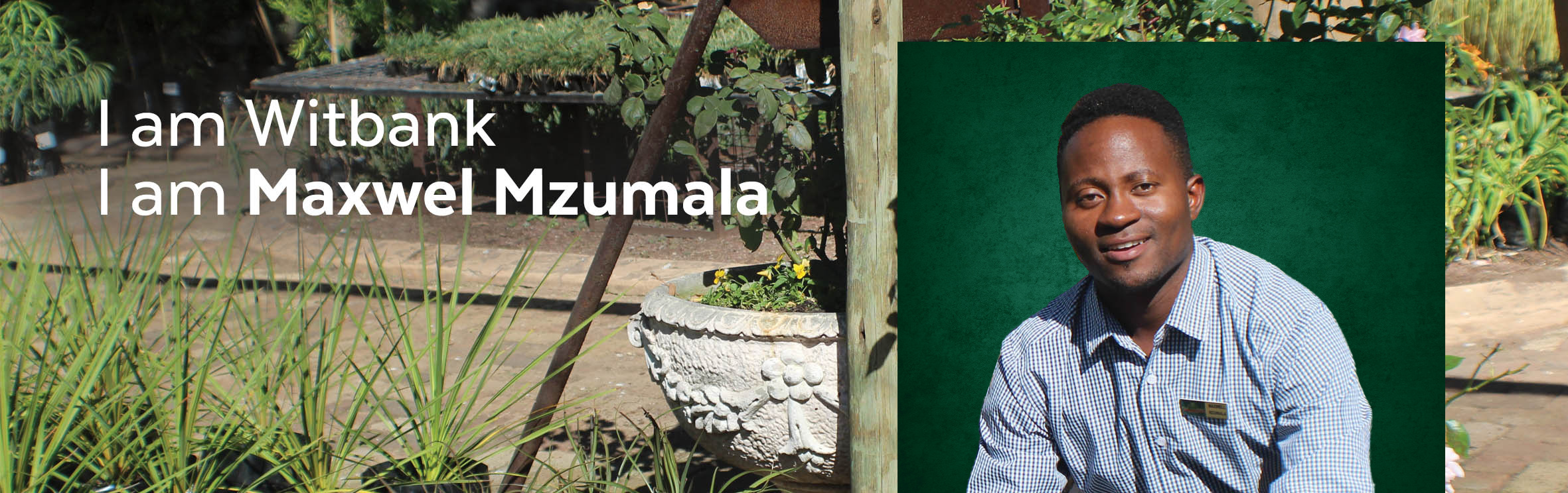 Your local property sales and rentals specialist