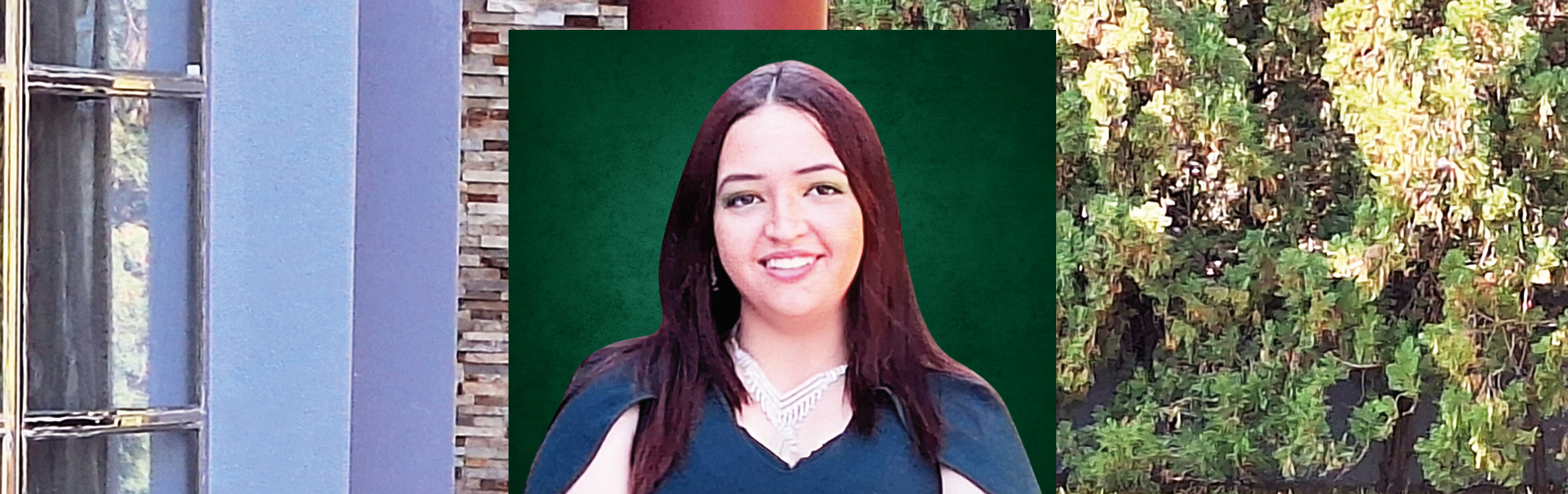 Your local property sales and rentals specialist