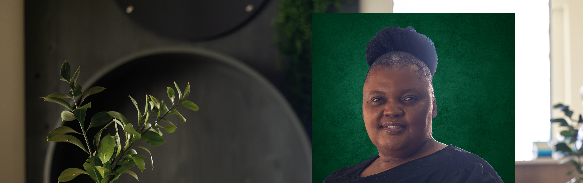 Your local property sales and rentals specialist