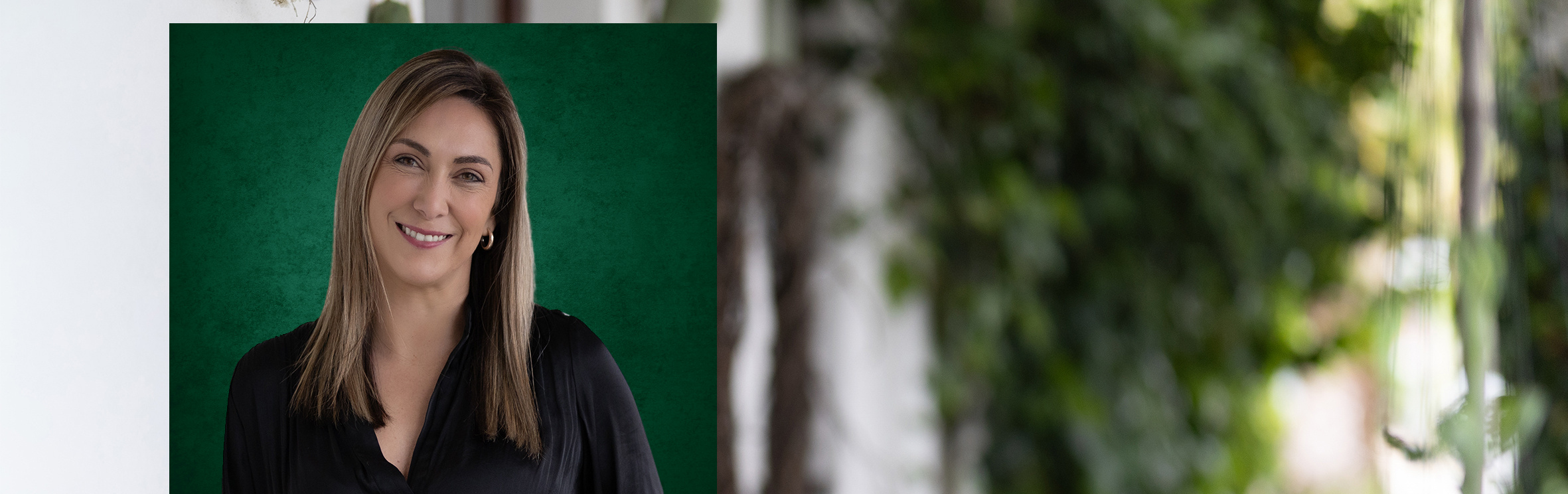 Your local property sales and rentals specialist