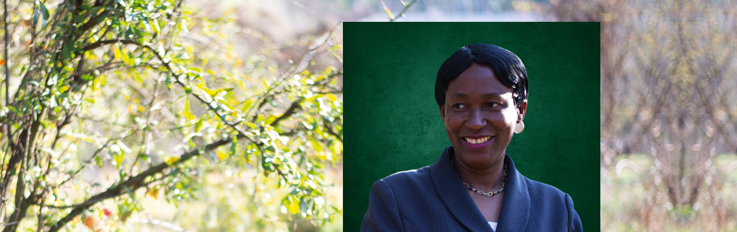 Your local property sales and rentals specialist