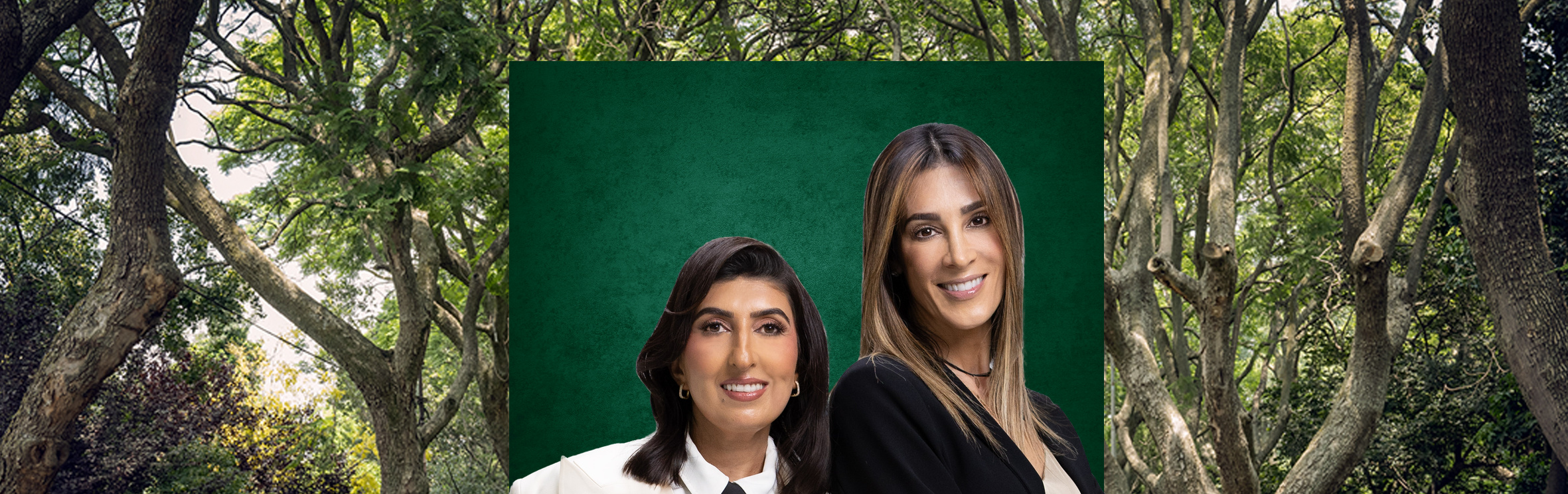 Your local property sales and rentals specialist