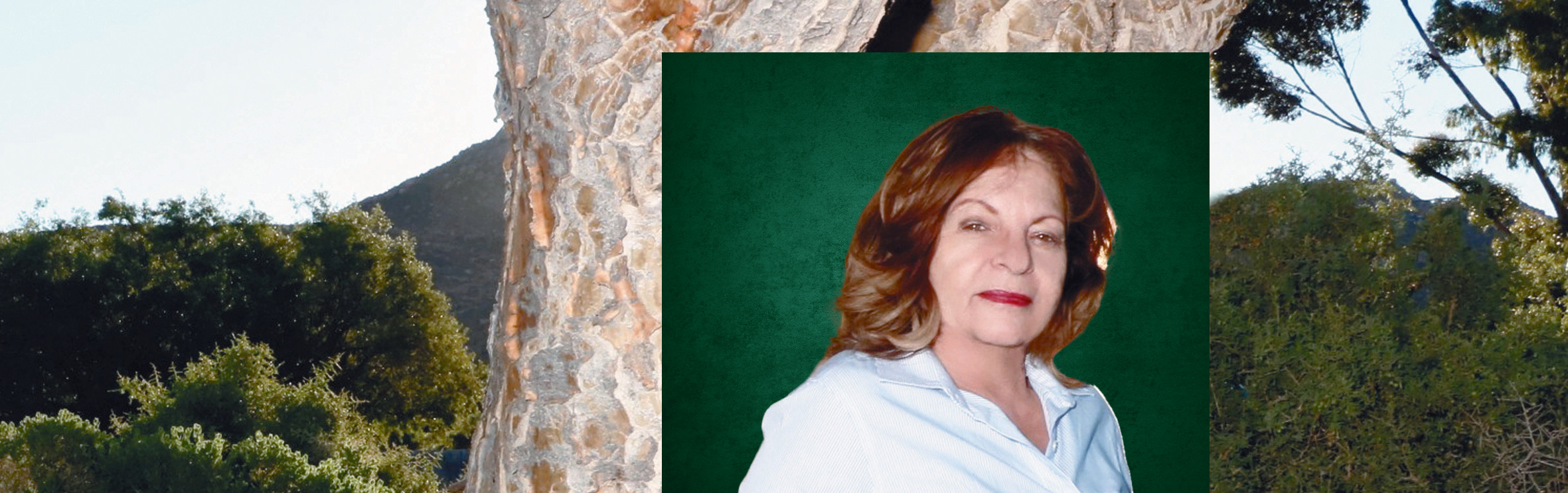 Your local property sales and rentals specialist in Springbok, Springbok Farms