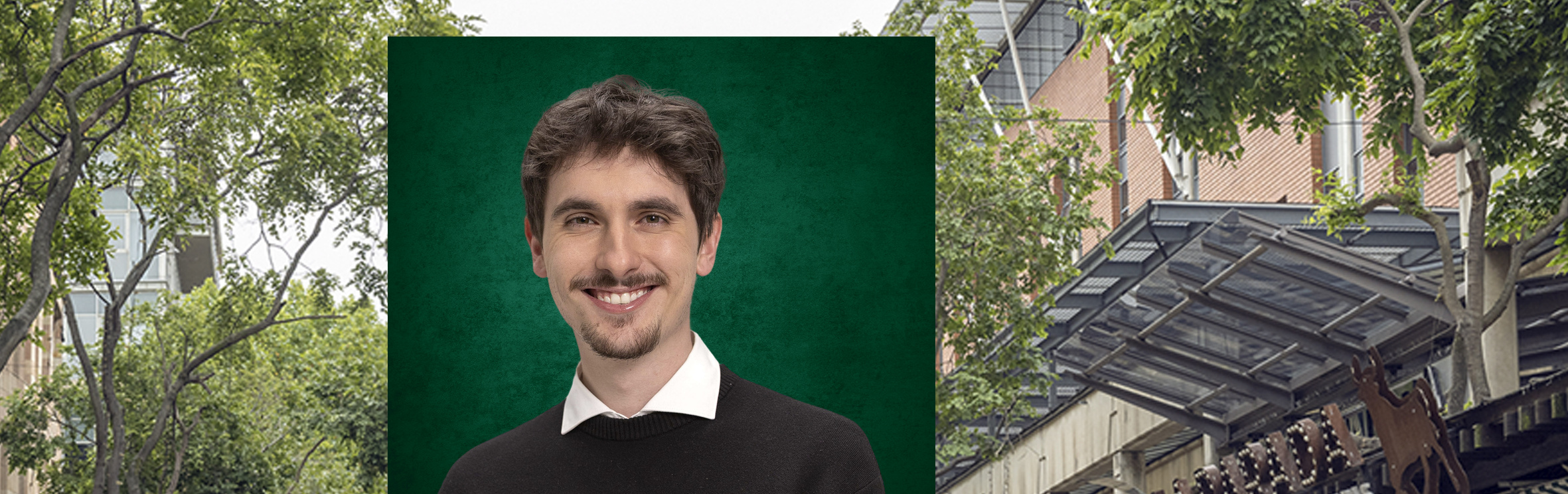 Your local property sales and rentals specialist in Birdhaven, Birnam, Fairway, Illovo, Inanda, Melrose, Melrose Estate