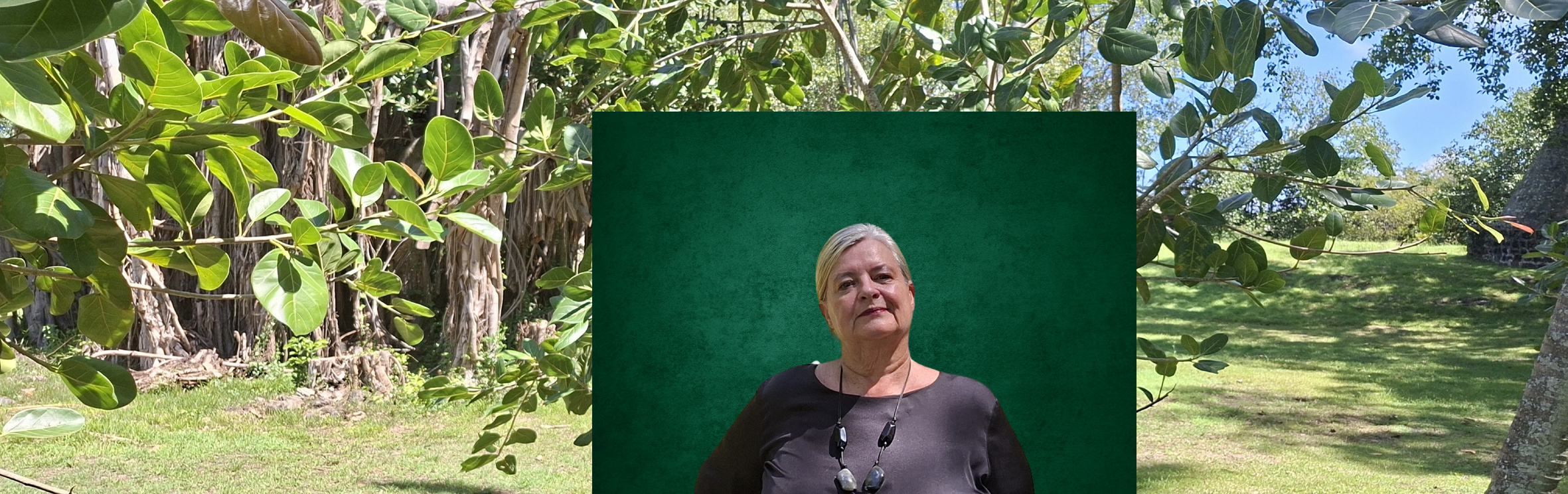 Your local property sales and rentals specialist