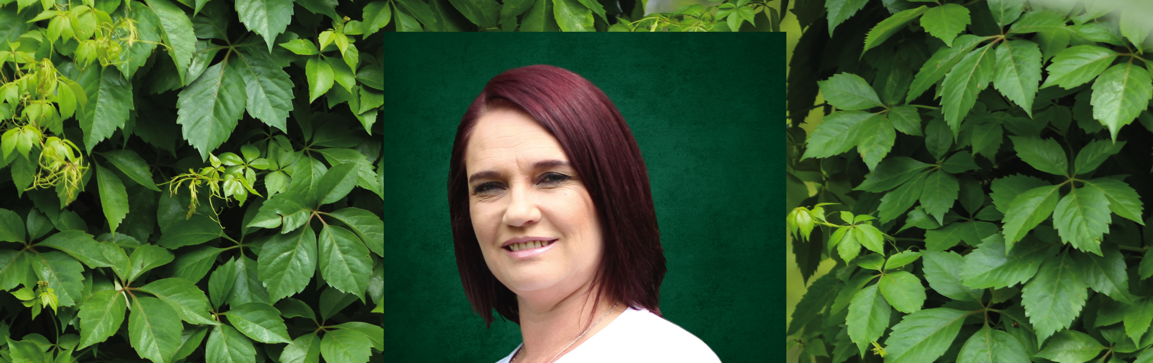 Your local property sales and rentals specialist