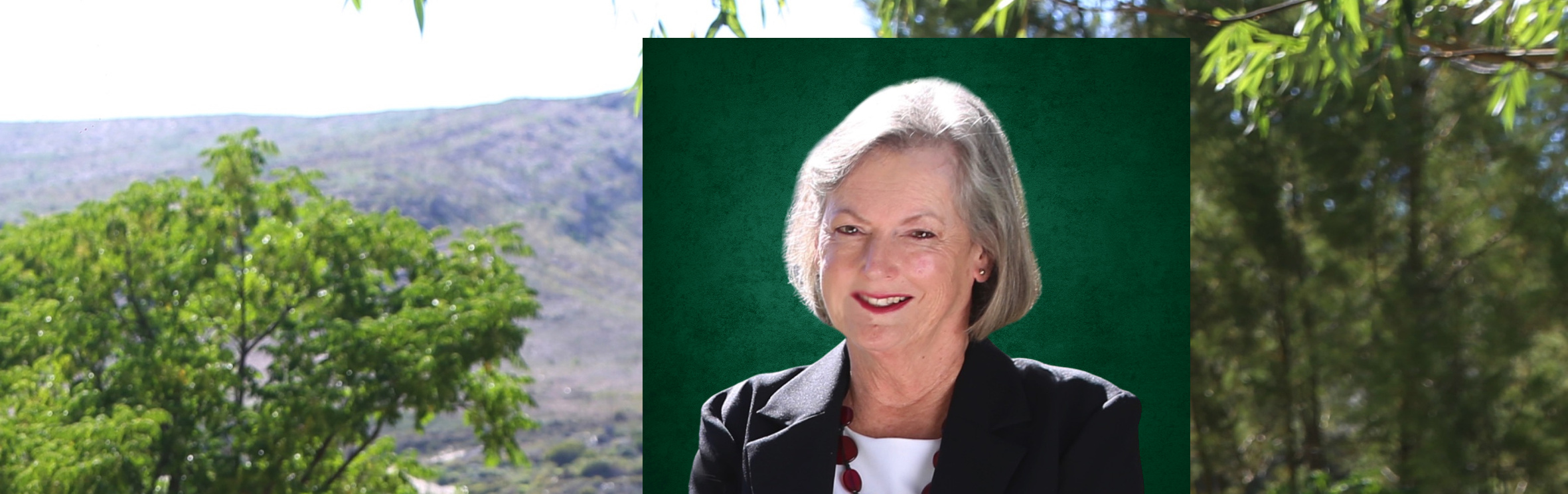 Your local property sales and rentals specialist in Barrydale