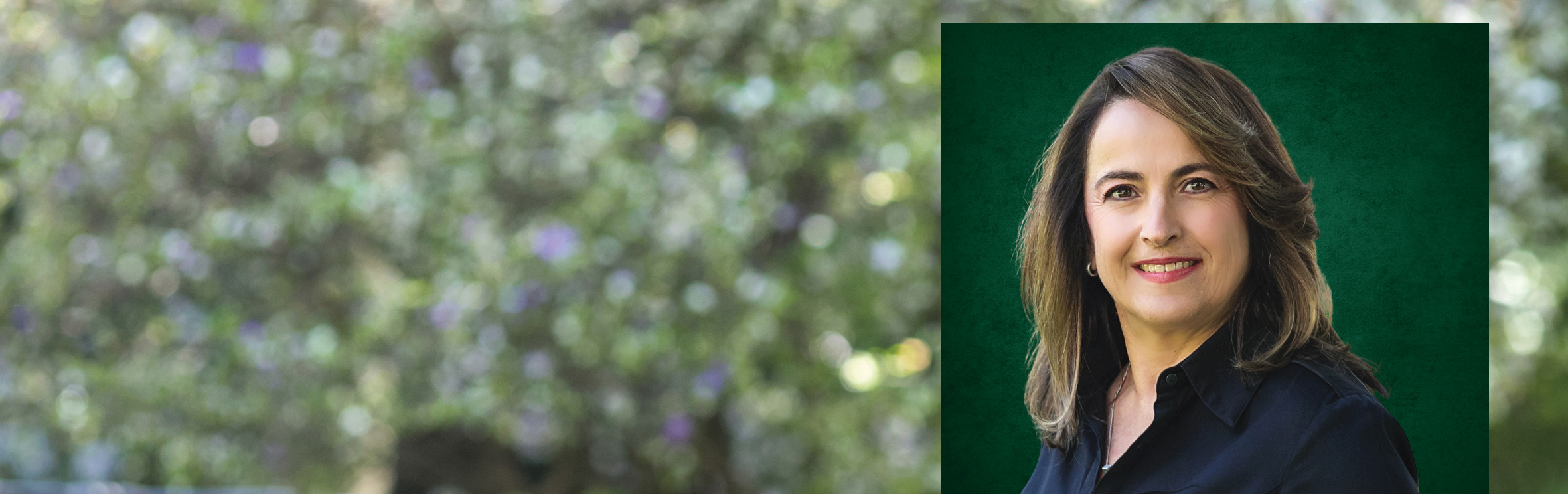 Your local property sales and rentals specialist in Houghton, Houghton Estate, Riviera (JHB)