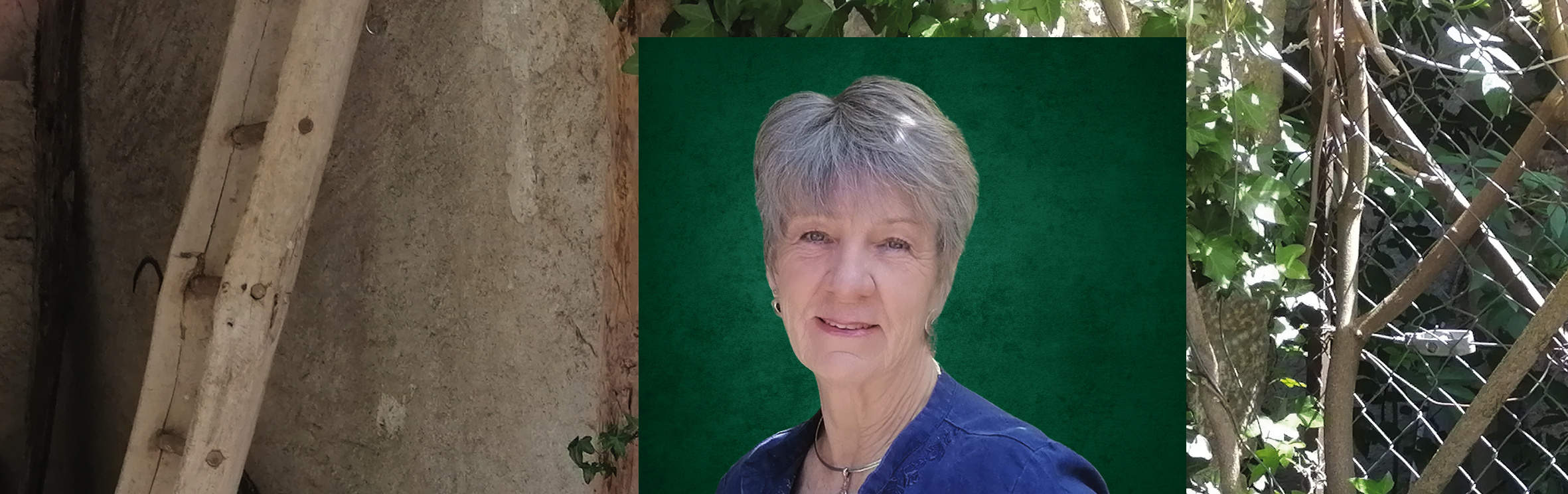 Your local property sales and rentals specialist