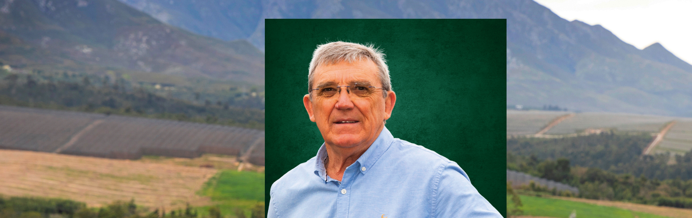 Your local property sales and rentals specialist in Geelhoutboom, George Industria, Hansmoeskraal, Sinksabrug, Voorbrug, Waboomskraal