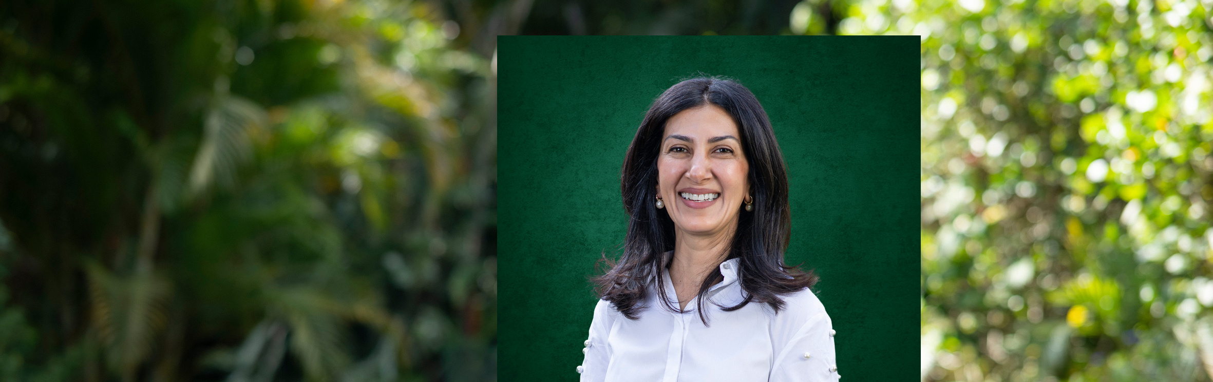 Your local property sales and rentals specialist