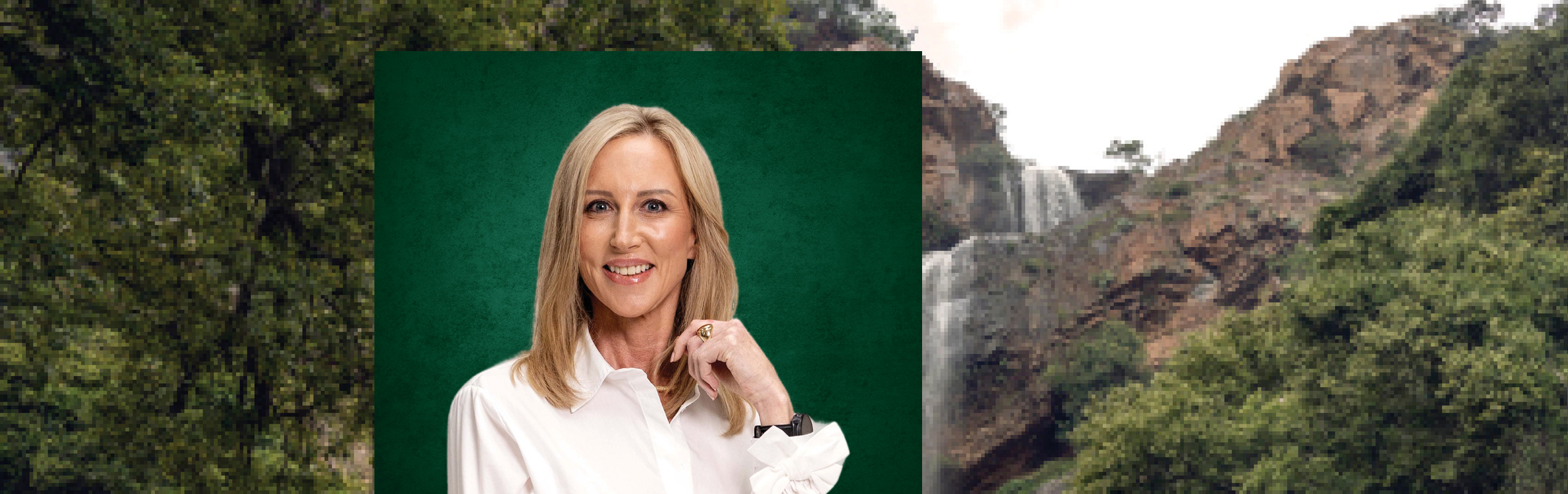 Your local property sales and rentals specialist in Bryanston, Bryanston East, Bryanston West