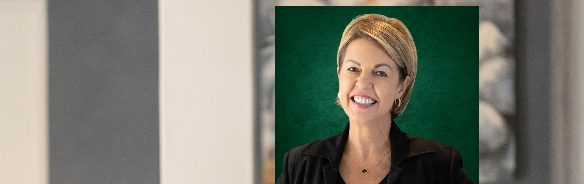 Your local property sales and rentals specialist