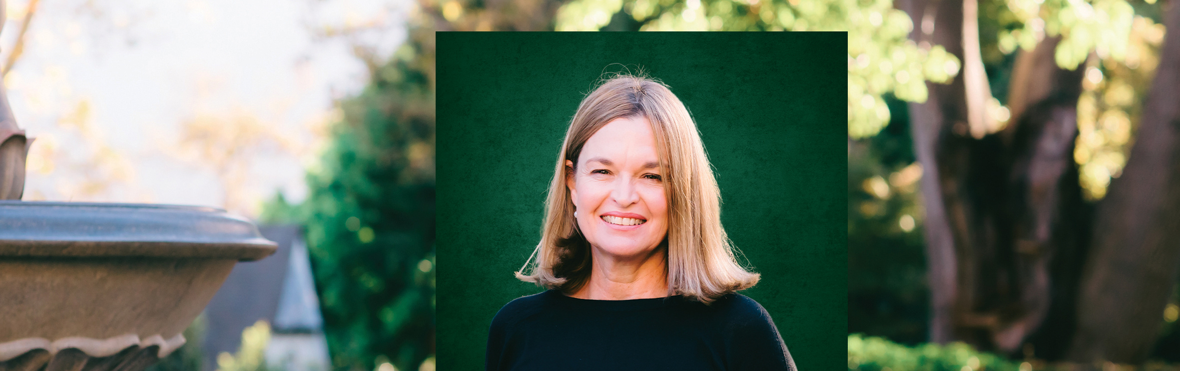 Your local property sales and rentals specialist in Newlands