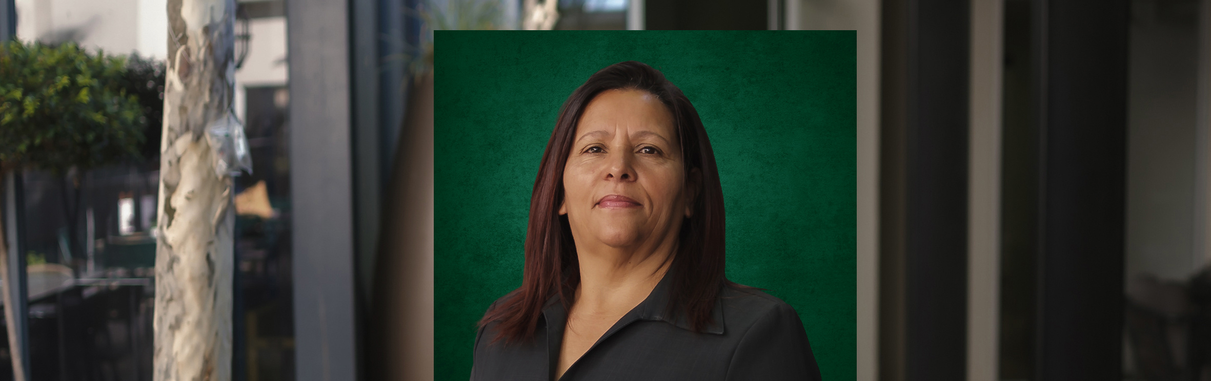 Your local property sales and rentals specialist