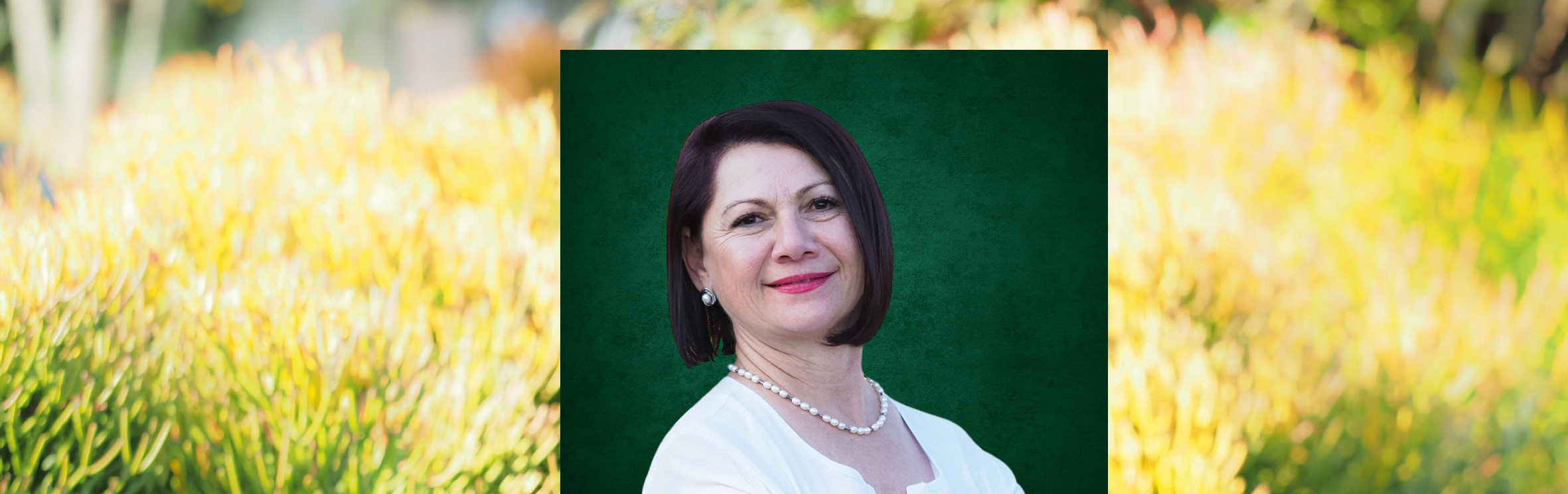 Your local property sales and rentals specialist in White River, White River Country Estate