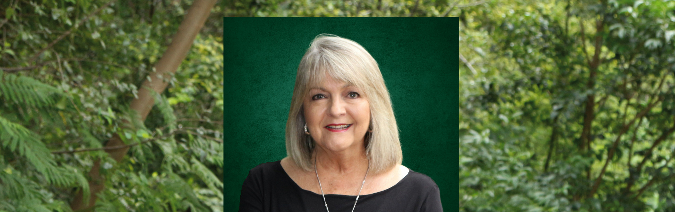 Your local property sales and rentals specialist in Boschdal