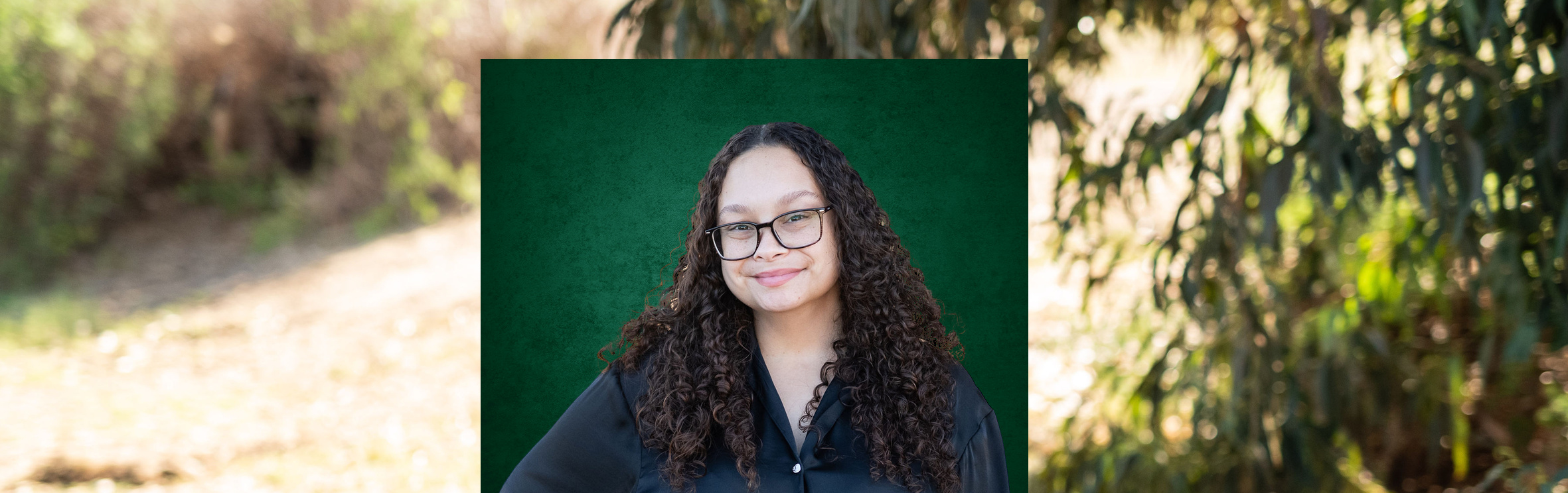 Your local property sales and rentals specialist in Ruyterwacht - Pinetree Village