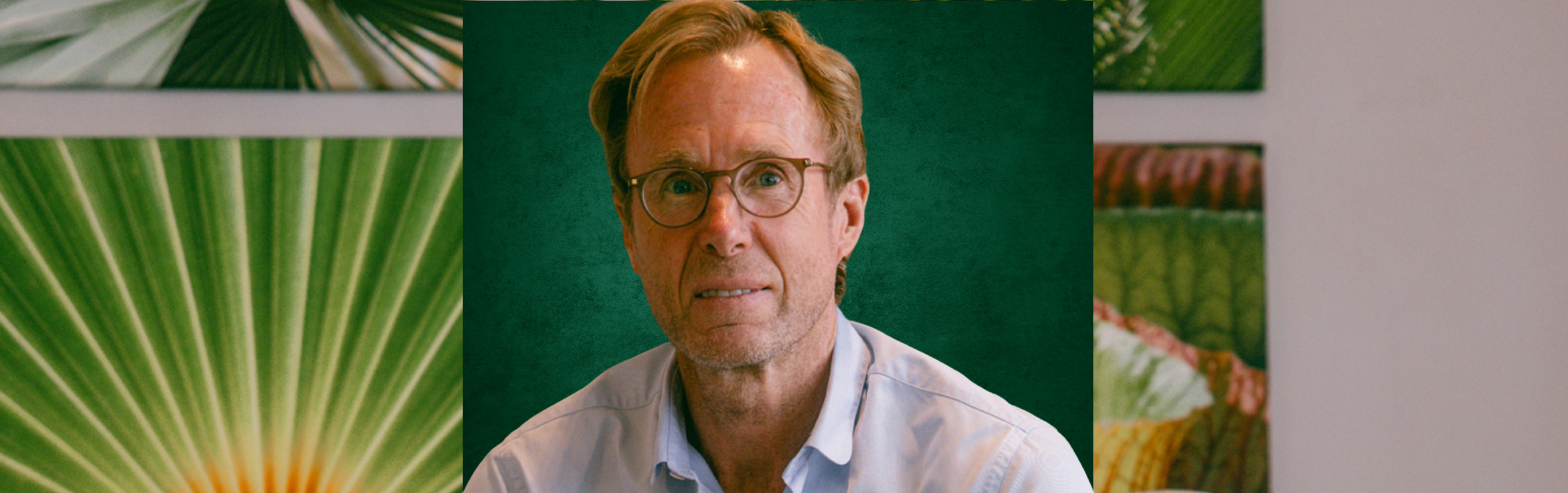 Your local property sales and rentals specialist