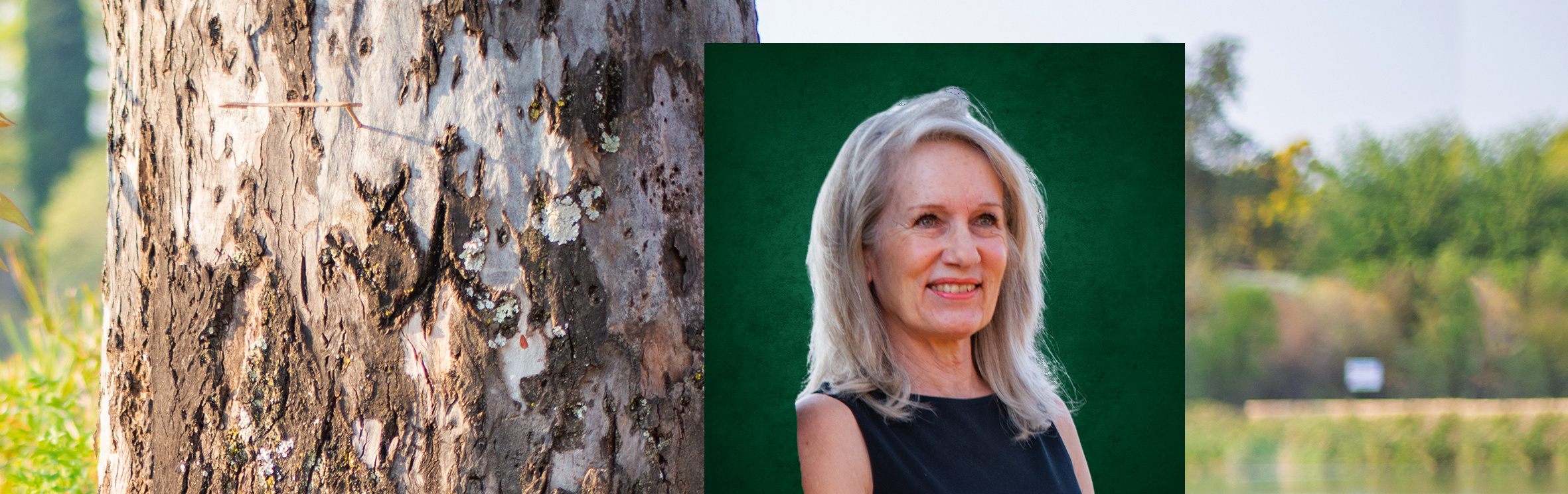 Your local property sales and rentals specialist in Brooklyn, Waterkloof