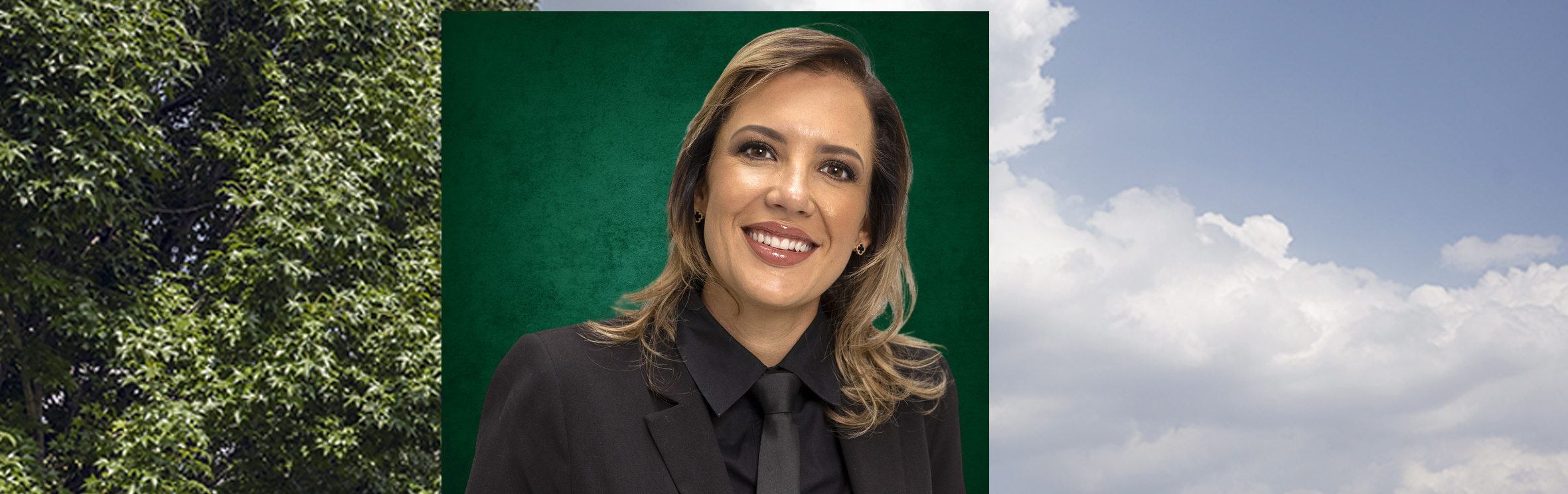 Your local property sales and rentals specialist in Blairgowrie, Bordeaux , Pine Park