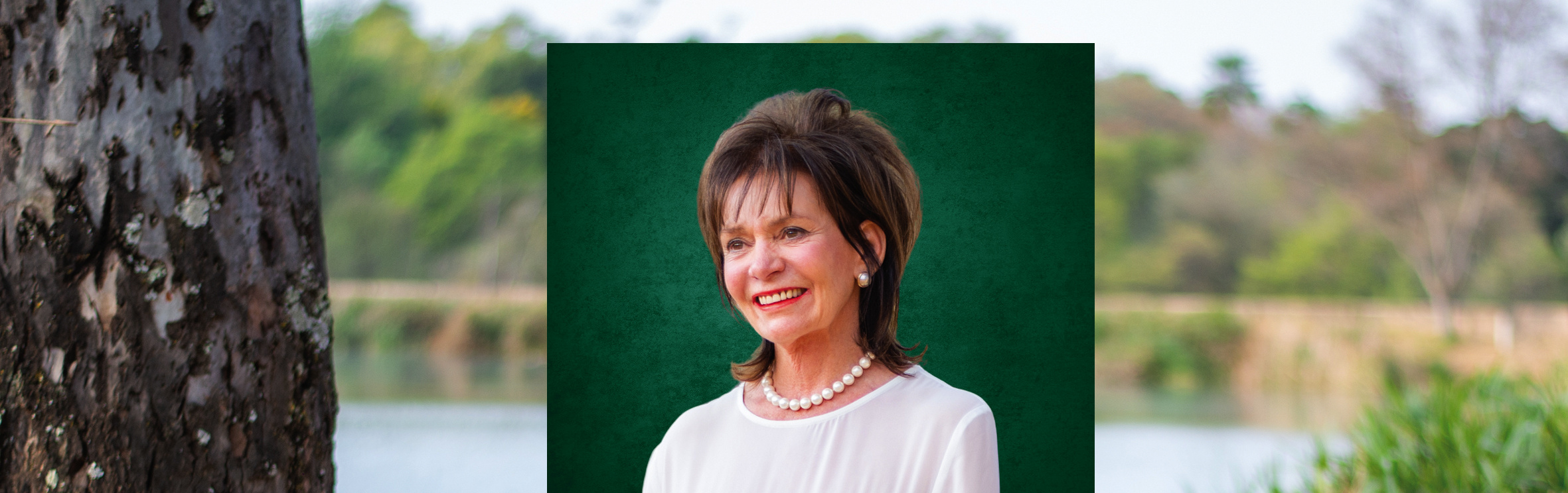 Your local property sales and rentals specialist in Groenkloof, Waterkloof Heights, Waterkloof Park, Waterkloof Ridge