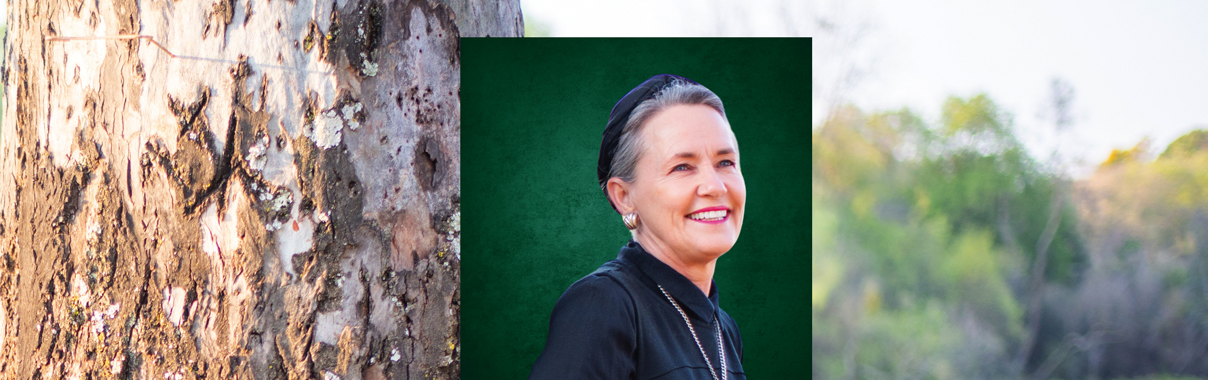 Your local property sales and rentals specialist in Brummeria, Lydiana, Lynnrodene, Lynnwood, Lynnwood Glen, Lynnwood Manor, Lynnwood Park