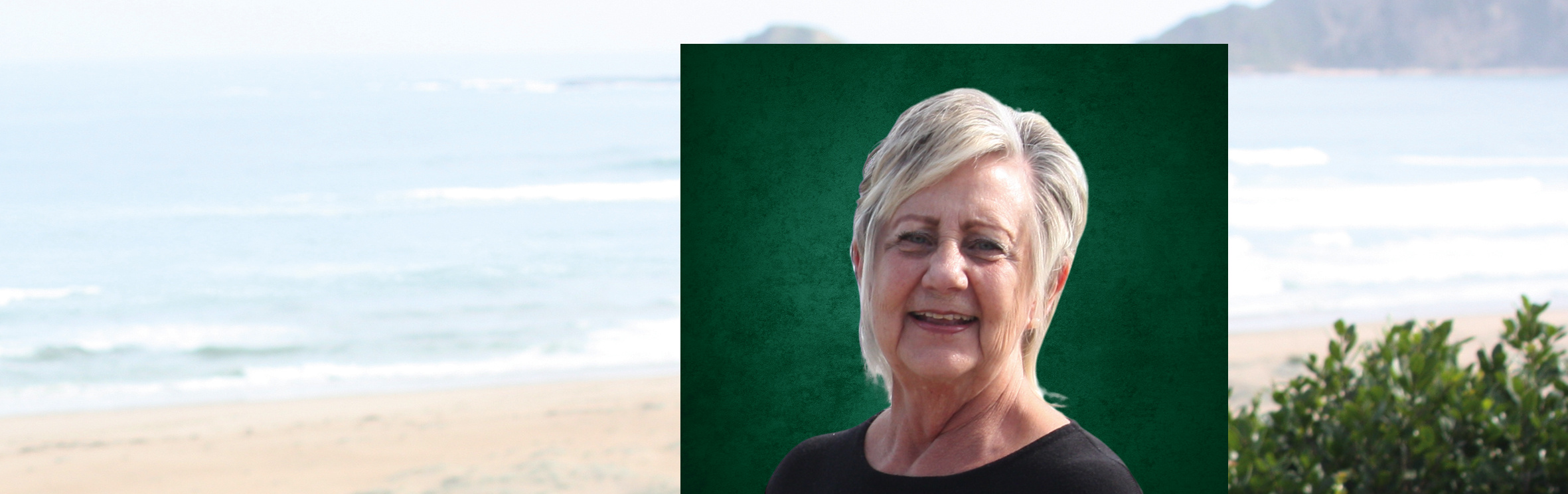 Your local property sales and rentals specialist in Sedgefield