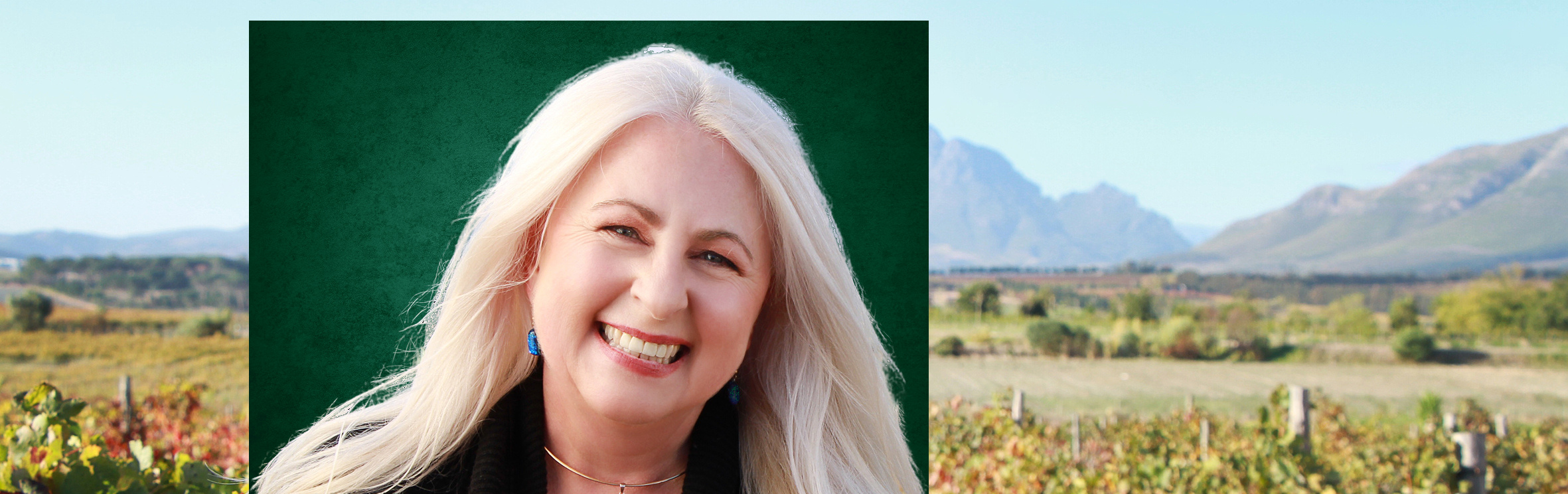 Your local property sales and rentals specialist in Gordons Bay, Somerset West, Stellenbosch, Strand