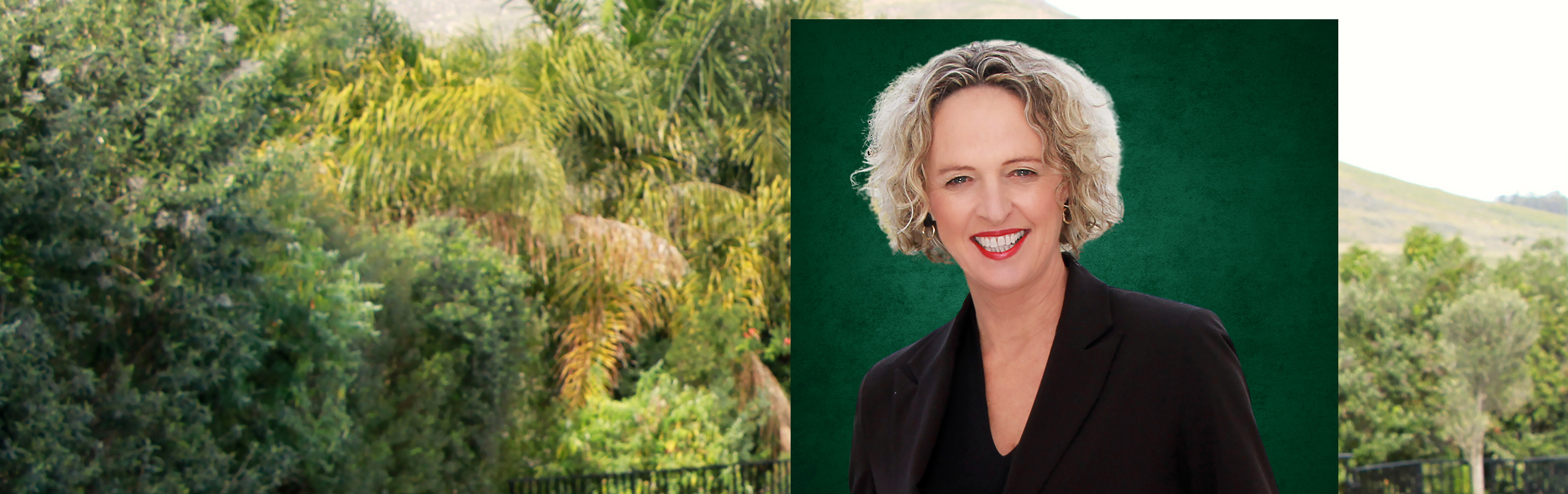 Your local property sales and rentals specialist in Stellenbosch