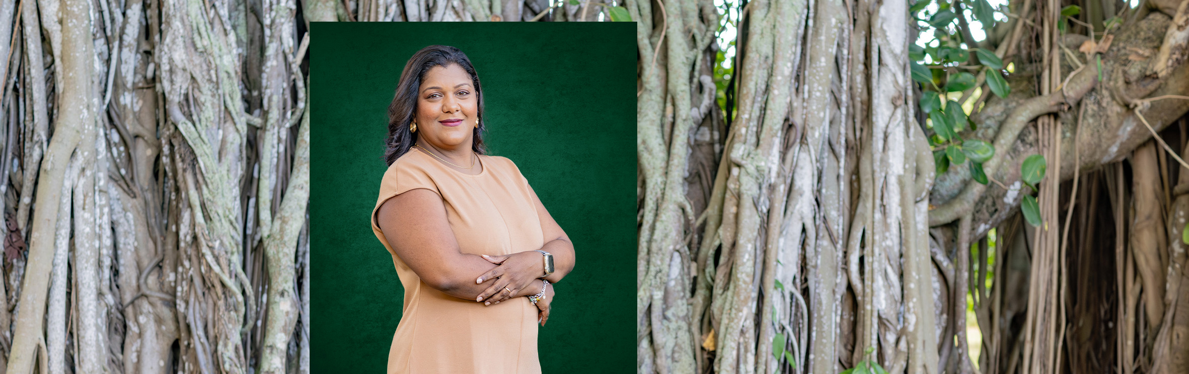 Your local property sales and rentals specialist